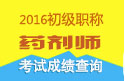 2023年河南药剂师资格职称考试成绩查询