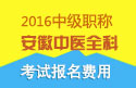 2023年安徽中医全科主治医师职称考试报名费用