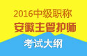 2023年安徽主管护师职称考试大纲