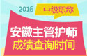 2023年安徽主管护师资格职称考试成绩查询