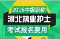 2023年河北执业护士职称考试报名费用
