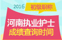 2023年河南执业护士资格考试成绩查询