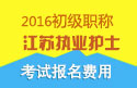 2023年江苏执业护士职称考试报名费用