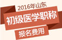 2023年山东执业护士职称考试报名费用