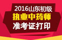 2023年山东执业中药师职称考试准考证打印