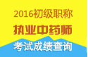 2023年山东执业中药师职称考试成绩查询