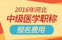 2023年河北中医全科主治医师职称考试报名费用