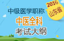 2023年山东中医全科主治医师职称考试大纲