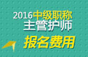 2023年河北主管护师职称考试报名费用