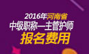 2023年河南主管护师职称考试报名费用