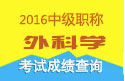 2023年山东外科主治医师职称考试成绩查询