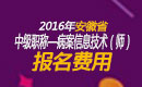 2023年安徽病案信息技术（师）职称考试报名费用