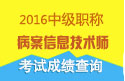 2023年北京病案信息技术（师）考试成绩查询