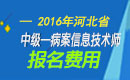 2023年河北病案信息技术（师）职称考试报名费用