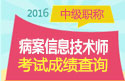 2023年四川病案信息技术（师）考试成绩查询