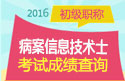 2023年广东病案信息技术（士）考试成绩查询