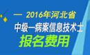 2023年河北病案信息技术（士）职称考试报名费用