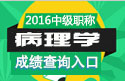 2023年北京病理学主治医师考试成绩查询