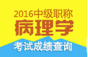 2023年安徽病理学主治医师考试成绩查询