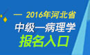 2023年河北病理学主治医师职称考试报名入口