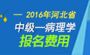 2023年河北病理学主治医师考试报名费用