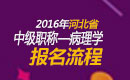 2023年河北病理学主治医师职称考试报名流程