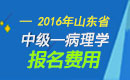 2023年山东病理学主治医师考试报名费用