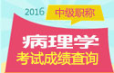 2023年山东病理学主治医师考试成绩查询