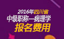 2023年四川病理学主治医师考试报名费用