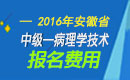 2023年安徽病理学技术中级考试报名费用