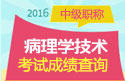 2023年安徽病理学技术中级考试成绩查询