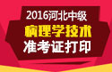 2023年河北病理学技术中级职称考试准考证打印