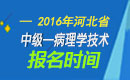 2023年河北病理学技术中级职称考试报名时间