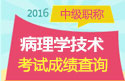 2023年山东病理学技术中级考试成绩查询