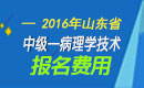 2023年山东病理学技术中级考试报名费用