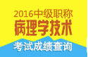 2023年上海病理学技术中级考试成绩查询