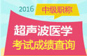 2023年北京超声波医学主治医师职称考试成绩查询